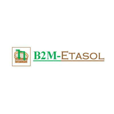 Logo B2M